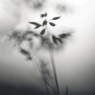 @erinnb_photography