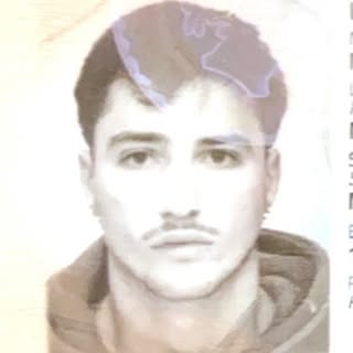 @marklepo_