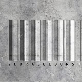 @zebracolours_uk