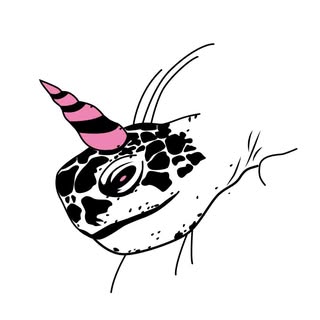 @turtlehorn_