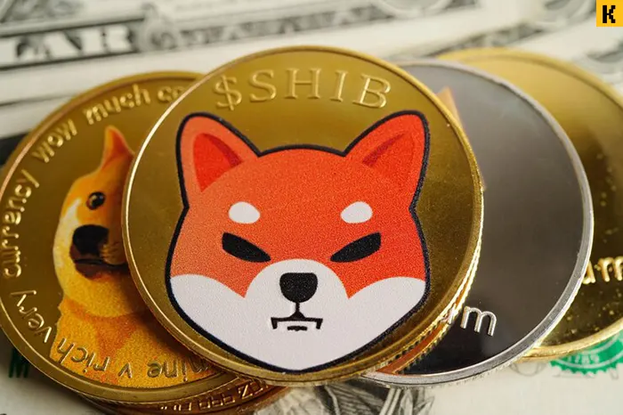 Схема еволюції криптовалют від Bitcoin до мемкоїнів