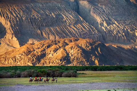Nubra Valley
