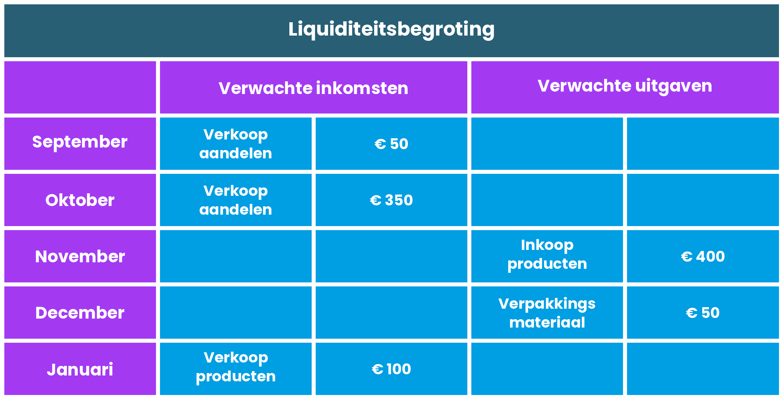 liquiditeitsbegroting (1).png