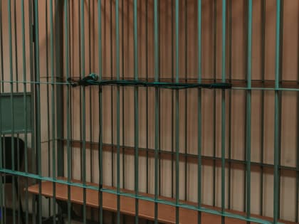 Стрежевчанин, изрезавший ножом невесту в день свадьбы, отправится в колонию