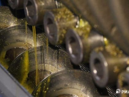 Экспорт рапсового масла из Томской области сократился в 2 раза в 2024г