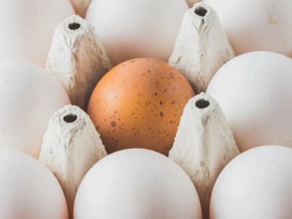 В ноябре годовая инфляция в Томской области ускорилась до 7,9%