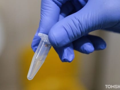 В Томской области еще 10 человек пострадали от присасывания клещей