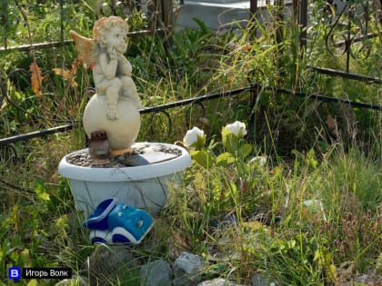 Томские эксперты: риск "подцепить" клещей на кладбище очень высок