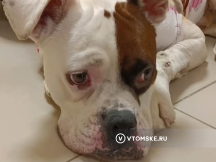 Льготные программы стали драйвером роста рынка ипотеки в прошлом году