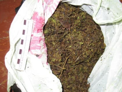 У  жителя Каргасокского района изъяли более 300 грамм марихуаны