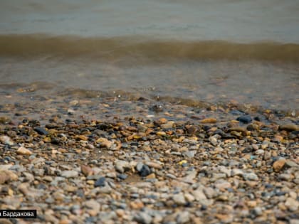 Молодой парень утонул в Оби в Шегарском районе