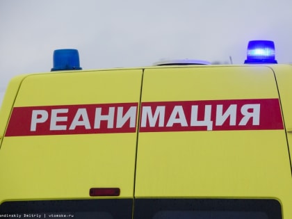 Мужчина погиб, попав под колеса Toyota, на дороге Томск — Аэропорт
