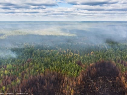 Власти: ситуация с лесными пожарами в Томской области стабилизировалась