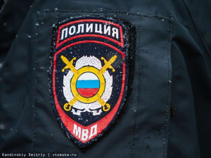Жителю села в Томской области грозит срок за хранение патронов и угон машины