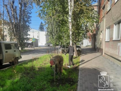Томск озеленяется: почти 100 новых деревьев и кустарников на улице Котовского