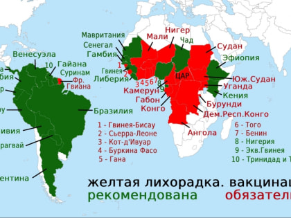 Роспотребнадзор информирует о необходимости вакцинации от желтой лихорадки для туристов