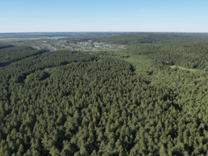 В Томской области усилили авиационный мониторинг лесов