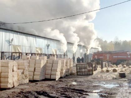 Крупный пожар произошел в цехе на лесозаготовительном предприятии в Асине