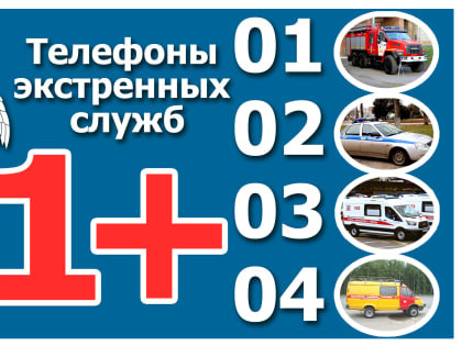 Телефоны экстренных oперативных служб, кoторые могут пригодиться в новогодние праздники