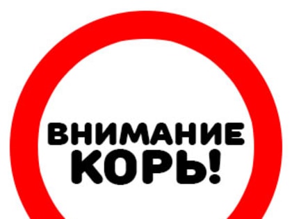 Внимание: подчищающая иммунизация против кори!