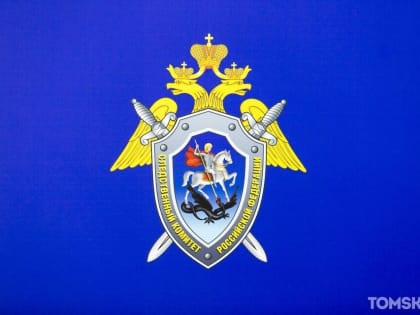 Следователи проводят проверку по факту нападения бродячих собак на томича
