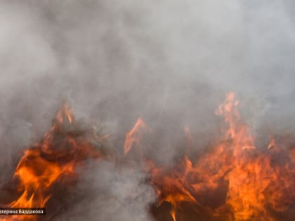 Семь лесных пожаров ликвидировано за выходные в Томской области