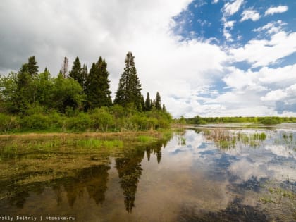 Иномарка опрокинулась в озеро в Шегарском районе. Водитель погиб