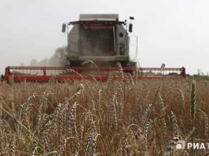 Дожди мешают сбору урожая в Томской области