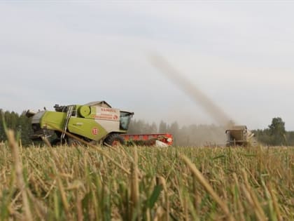 Уборка урожая в Томской области: итоги и достижения