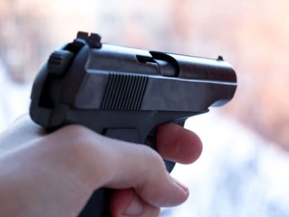 Житель Северска сам сделал пистолет и партию патронов и получил условный срок