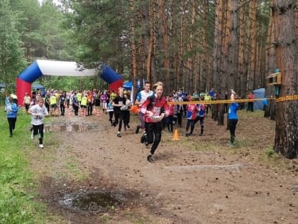 Томские спортсмены привезли медали с чемпионата Сибири по спортивному ориентированию