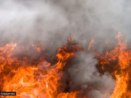 Дополнительные силы для тушения пожаров прибудут в Томскую область