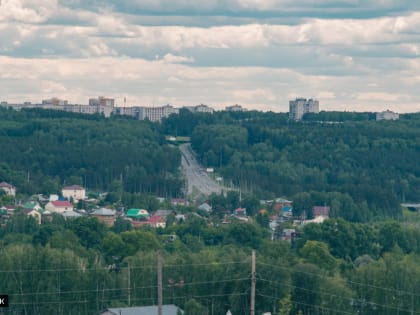 В Томске нашли подрядчика для обследования лесопарка в Академгородке