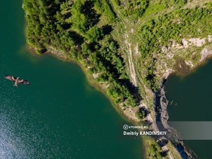 Кишечную палочку нашли в воде Нефтехимовского озера