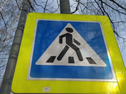 Почти четыре тысячи пешеходов в Томской области привлечены к ответственности за нарушение ПДД
