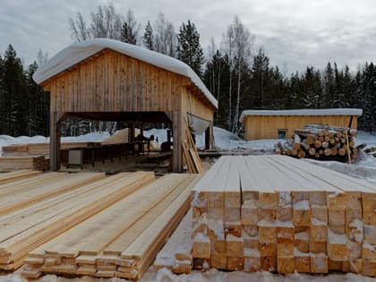 Томскстат: лесопереработка и добыча сырья в регионе снизились в 2023г
