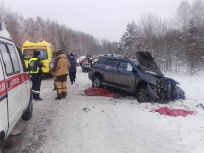 Шесть человек пострадали в лобовом ДТП на трассе Томск — Мариинск