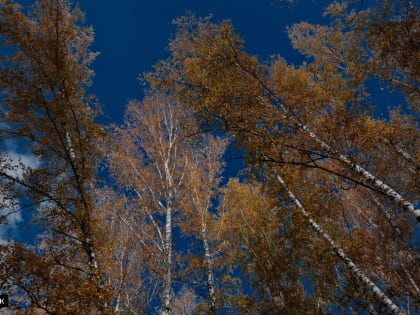 Как погода влияет на наше самочувствие