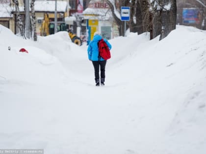 Данные по COVID-19 в Томской области на 2 января