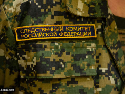 Житель Томского района заключен под стражу за то, что убил приятеля топором