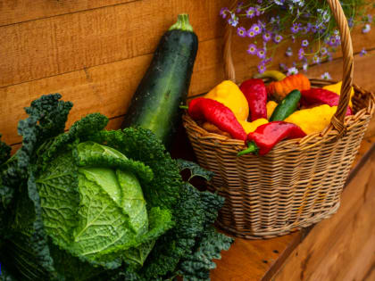 Томский врач Подчиненова назвала продукты, полезные для мозга