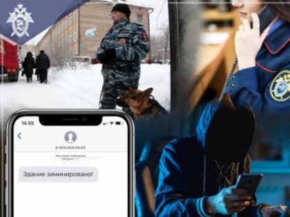Следственный комитет России напоминает об ответственности за ложные сообщения об актах терроризма