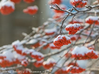 Прогноз погоды в Томске на новогодние каникулы 1-8 января