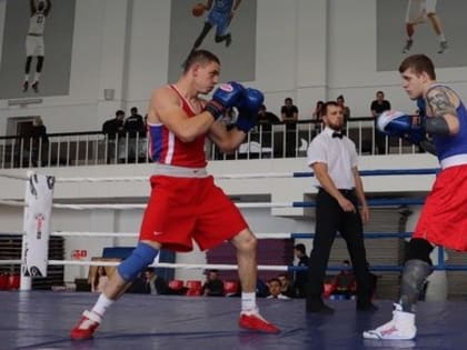 Итоги соревнований по боксу, посвященных памяти Бориса Селищева