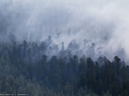 Дымка от лесных пожаров в ХМАО дошла до Томской области