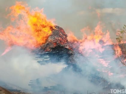 Лес загорелся в Тимирязевском лесничестве Томской области