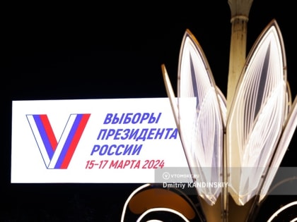 Онлайн-голосование на выборах президента проведут в 29 регионах. Среди них — Томская область