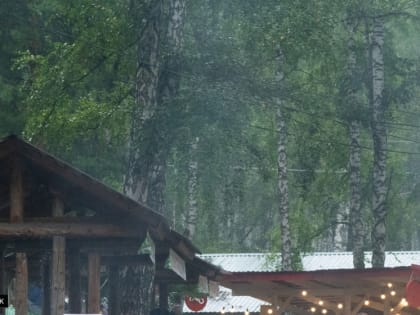 В томском парке "Околица" произошел пожар