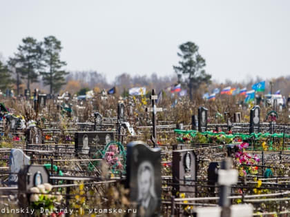 Томские кладбища не обработали от клещей перед Родительским днем