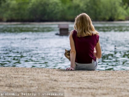 В Томске пьяный мужчина повредил чужой автомобиль во дворе дома